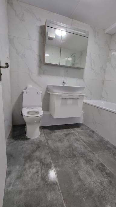 Brand New Flat Close To Turnpike Lane Tube Station Londra Exterior foto